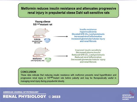 Metformin cuts insulin resistance and chances of kidney disease in ...