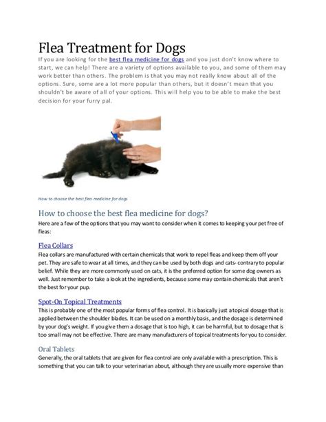 Flea treatment for dogs - how to choose the best flea medicine for do…