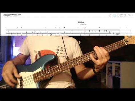 Red Hot Chili Peppers Sir Psycho Sexy Bass Cover YouTube