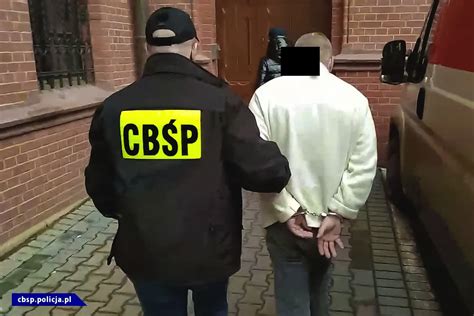 Akcja wrocławskiego CBŚP Zatrzymani bardzo groźni gangsterzy WIDEO