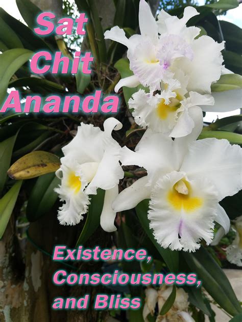 Sat-Chit-Ananda