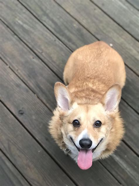 Best Torpedoes Images On Pholder Warship Porn Azure Lane And Wwiipics