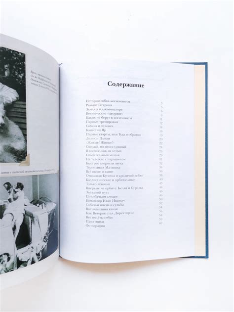 Животные-космонавты. Первые покорители космоса - Vilki Books