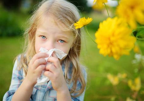 Seasonal Allergy Signs And Symptoms Causes Diagnosis Treatments