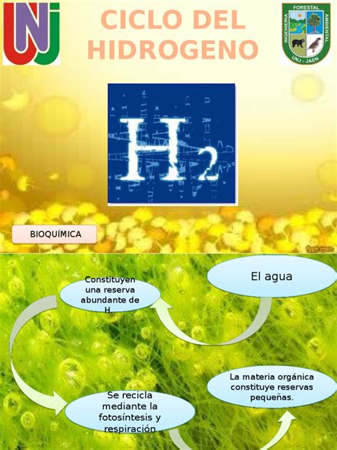 Ciclo Del Hidrogeno