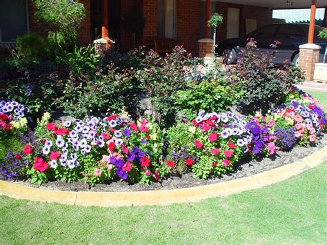 picture flower garden home grass