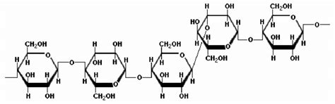 Basic Structure Of Glucans In Cereals With Combined Bonds And