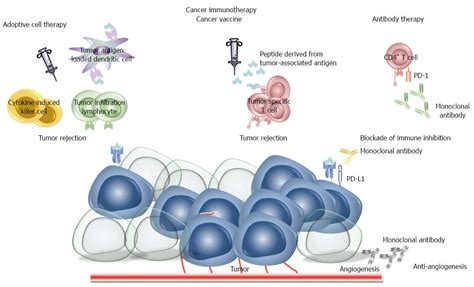 Immunotherapy In Gastric Cancer