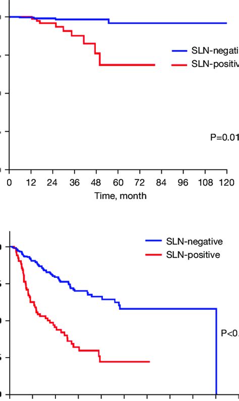 The Os And Dfs Of Sln Negative And Sln Positive Patients The Mean Dfs