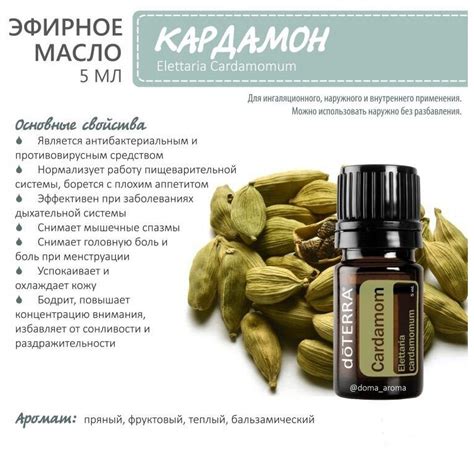 Эфирное масло кедра дотерра свойства - фото