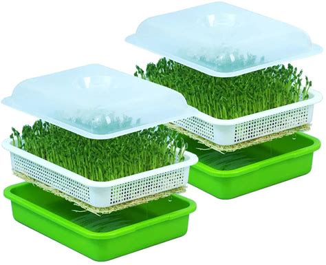 Red Beans Sprout For Home Use Seedling Trays Sprouter Tray And Seed