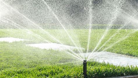 Best Lawn Sprinklers For A Lush And Healthy Yard Sprinkler Review