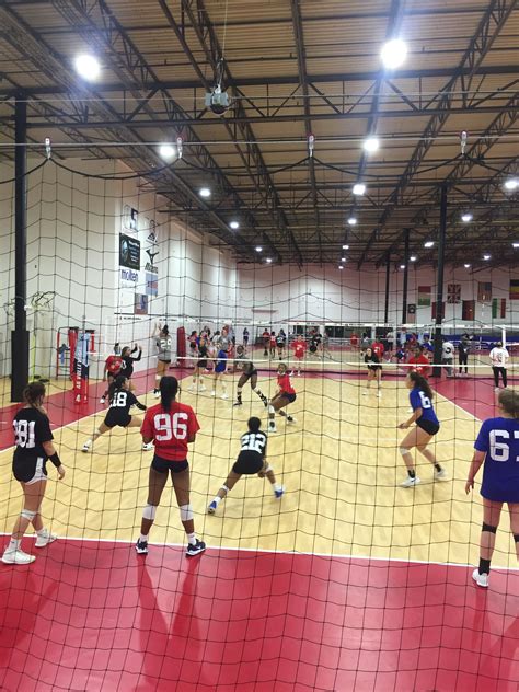 arizona sports complex volleyball - Blaine Mcduffie