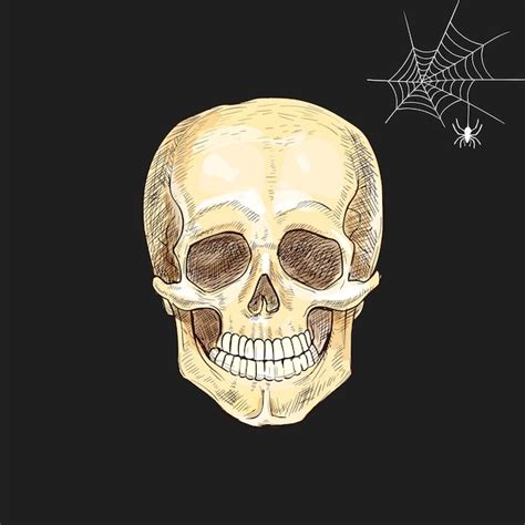 Premium Vector Halloween Spooky Skull Illustration