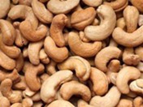 Recently Goan Cashew Kernel Got The Geographical Indication Gi Tag