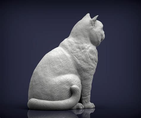 3D Datei Britisch Kurzhaar Katze 3D Druck Modell3D Druckbares Design