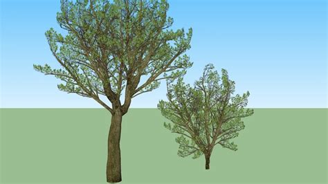 Tree Set 8 3d Warehouse