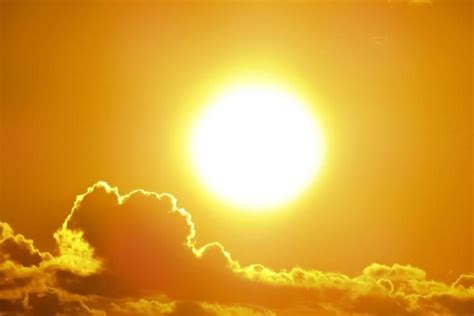 scientists  sun  entered   years solar cycle