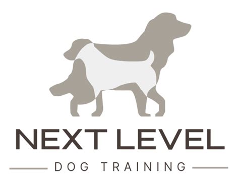 Dog Training Signs: 5 Indicators Your Dog May Need Training