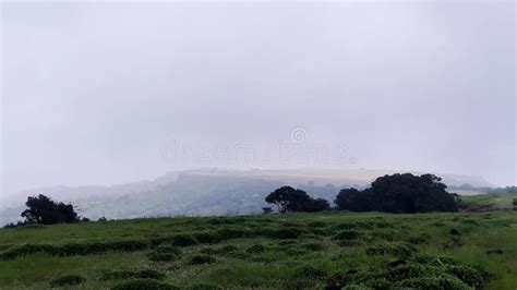 Kas Pathar, Satara, Maharashtra, India. Stock Footage - Video of ...