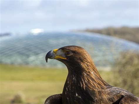 National Botanic Garden Of Wales Visitwales