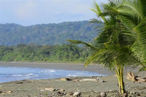 Agua Dulce Beach Resort - Puerto Jimenez, Costa Rica