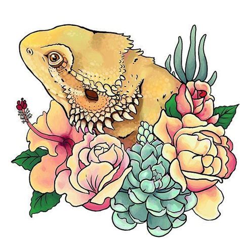 Bearded Dragon Drawing At Getdrawings Free Download