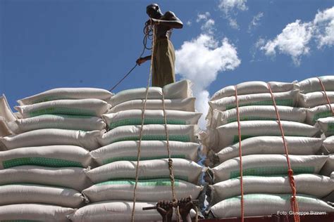 FAO instrui ministros do G20 para evitar crise alimentar por falta de