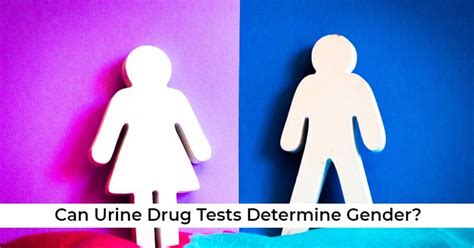 Can Drug Tests Detect Gender Learn More Here Ovus Medical