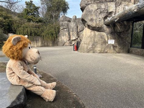 【公式】横浜市立よこはま動物園 ズーラシアさんの人気ツイート（新しい順） ついふぁん！