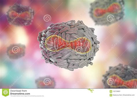 Variola virus illustration stock illustration. Illustration of ...