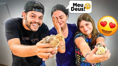 REAÇÃO DELAS AO VER AS GALINHAS DA GARAGEM Danilo Crespo YouTube