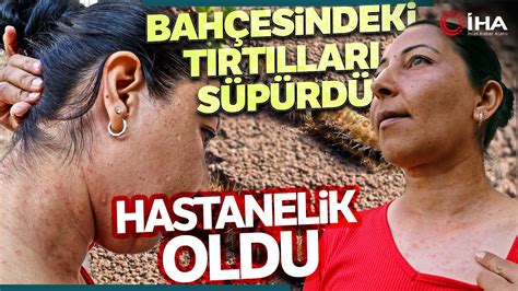 Evinin Bah Esindeki T Rt Llar S P Rd Hastanelik Oldu Youtube