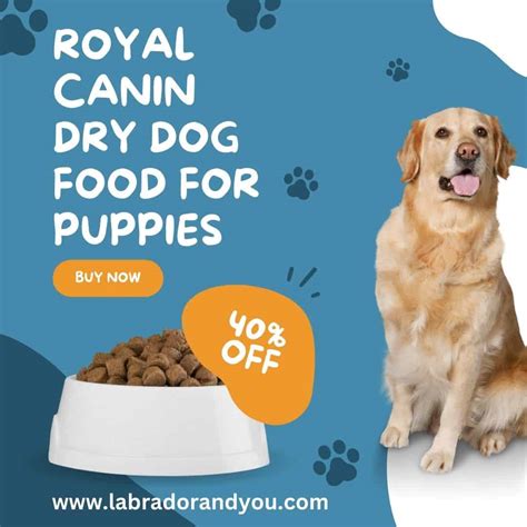 Royal Canin Labrador Retriever Puppy Food Tested (Tested Review)