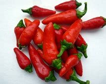 Popular Items For Hot Pepper Seeds On Etsy