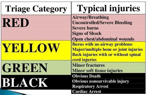 Heres How Medical Aid Stations Handle Mass Casualty Situations We