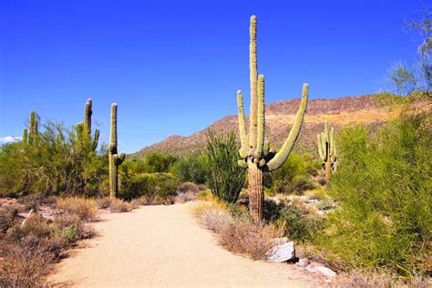 Last Minute Flights To Phoenix BudgetAir Co Uk