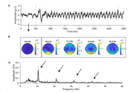 Typical SSVEP Features In The Temporal Spectral And Spatial