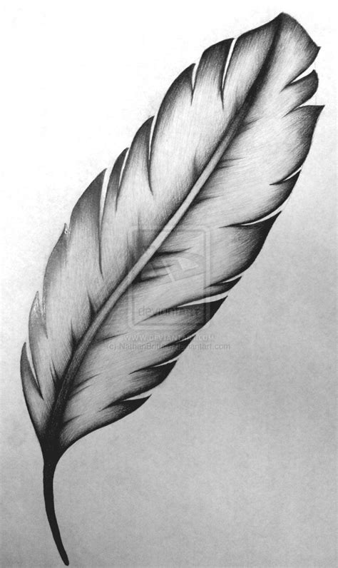 Feather Tattoo Design By Nathanbrittain On Deviantart Feather