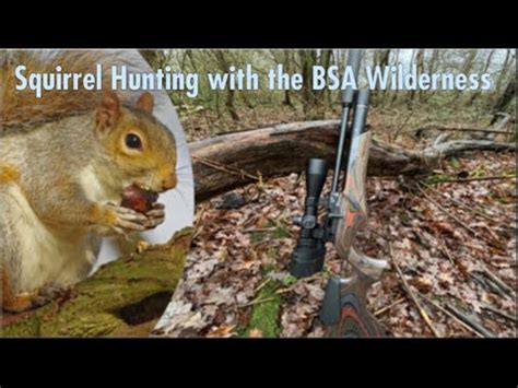 Bsa Wilderness Clx Pro Squirrel Hunting Airgun Hunting Squirrels