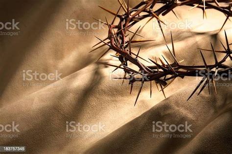 Crown Of Thorns On Gold Background 照片檔及更多 耶穌受難日 照片 耶穌受難日 棘冠 耶穌 Istock