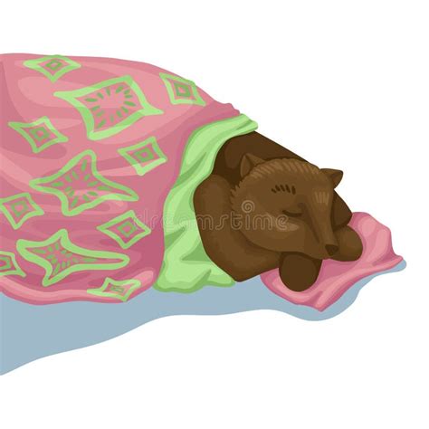 Sleeping Brown Bear Blanket And Pillow Character Vector Illustration