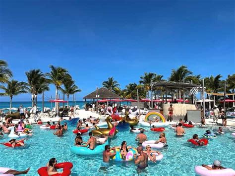 Ab Mini Bimini Bahamas Mit F Hre Und Hotelabholung Getyourguide