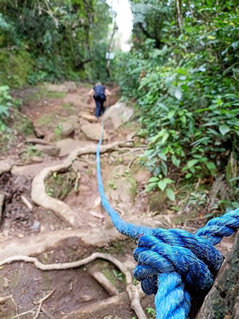 Trilha Do Pico Da Pedra