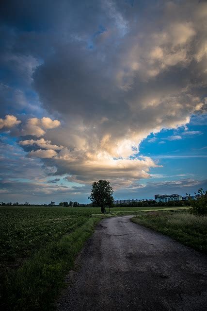 Awan Badai Pohon Foto Gratis Di Pixabay Pixabay