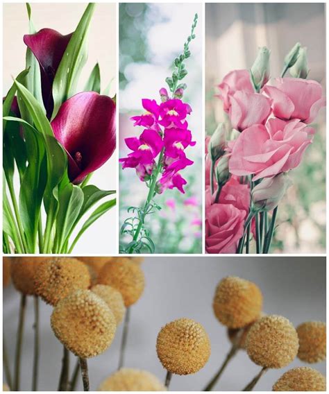 Buy THESE 10 Cut Flowers (They Last the Longest!) | StyleBlueprint