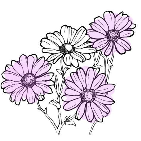 Bellissimi Disegni Di Fiori 200 Immagini Da Disegnare