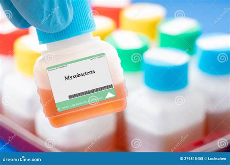 Myxobacteria stock photo. Image of produce, bacteria - 276815458