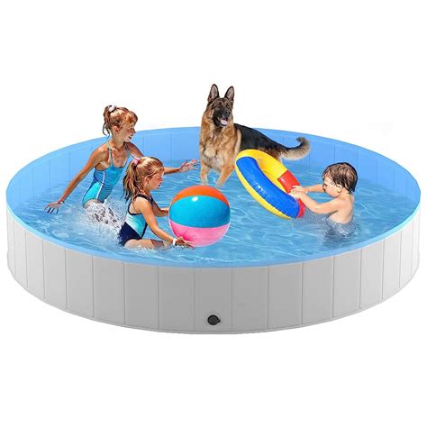 Las Mejores Piscinas Para Perros Con Mis Mascotas