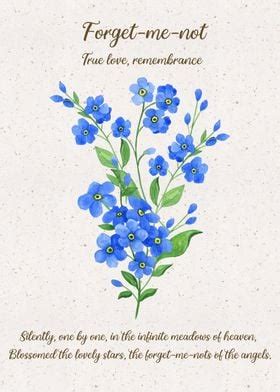 Forget Me Not Flower Poster By Xandyart Displate